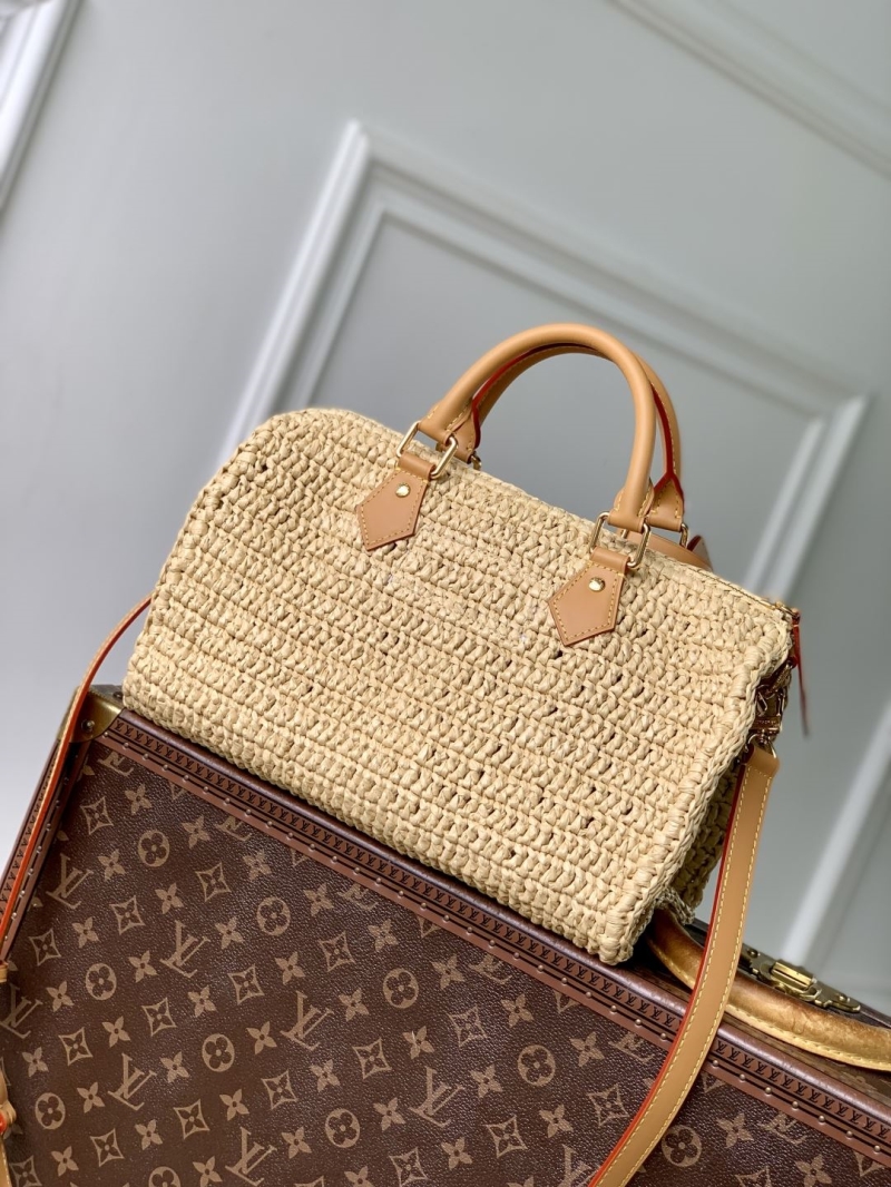 LV Speedy Bags